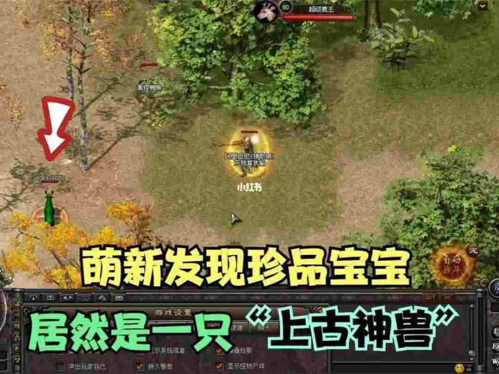 1.76小极品合击版本圣龙堂副本一层该这么去打呢